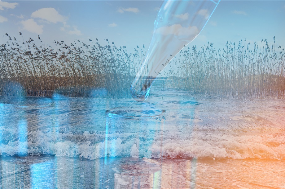 BIOPANKKILAIN UUDISTUKSEN TUOMAT MUUTOKSET