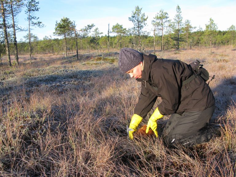 HeliJuottonen-blogikuva