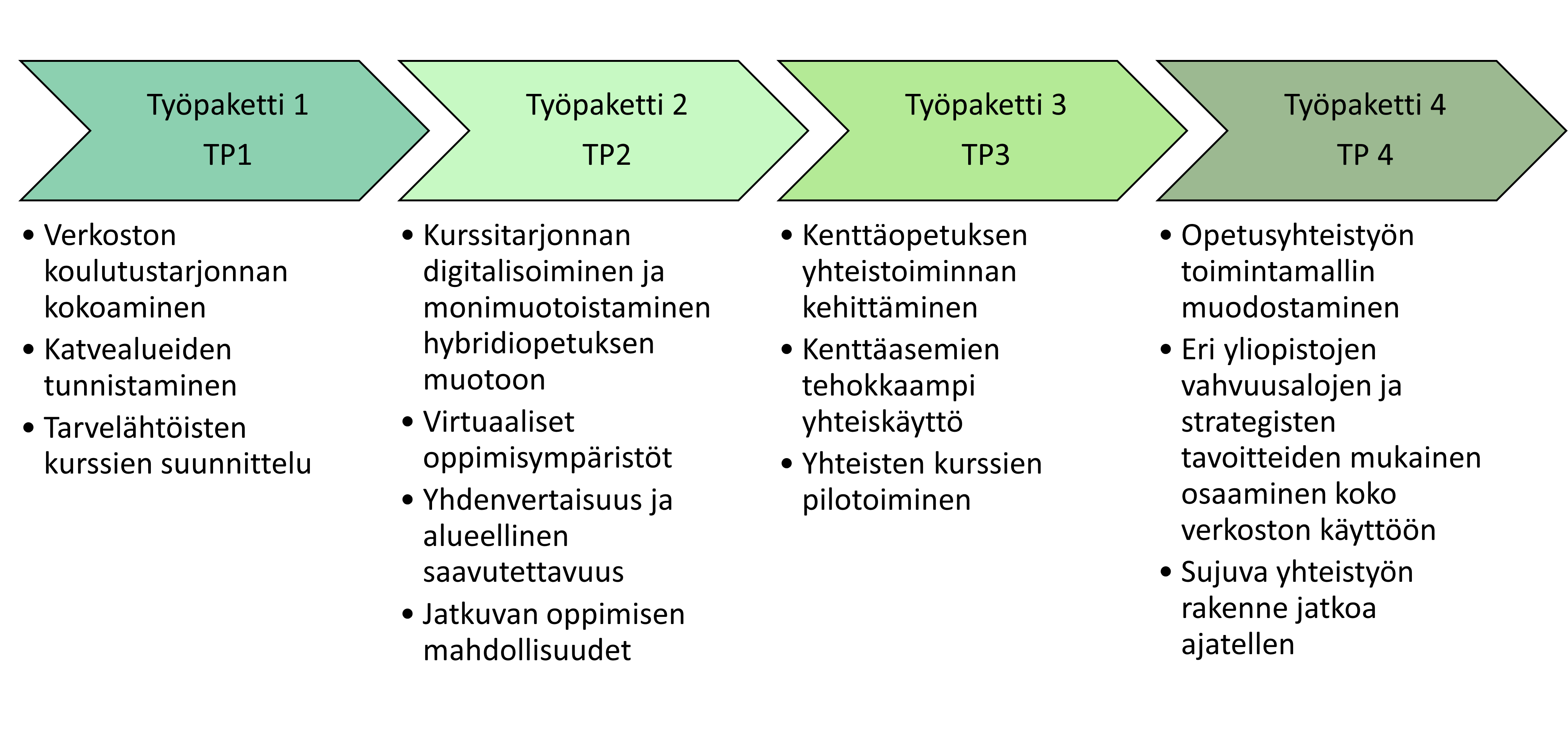 TP1: Verkoston koulutustarjonnan kokoaminen Katvealueiden tunnistaminen Tarvelähtöisten kurssien suunnittelu TP2: Kurssitarjonnan digitalisoiminen ja monimuotoistaminen hybridiopetuksen muotoon Virtuaaliset oppimisympäristöt Yhdenvertaisuus ja alueellinen saavutettavuus Jatkuvan oppimisen mahdollisuudet TP3: Kenttäopetuksen yhteistoiminnan kehittäminen Kenttäasemien tehokkaampi yhteiskäyttö Yhteisten kurssien pilotoiminen TP4: Opetusyhteistyön toimintamallin muodostaminen Eri yliopistojen vahvuusalojen ja strategisten tavoitteiden mukainen osaaminen koko verkoston käyttöön Sujuva yhteistyön rakenne jatkoa ajatellen 