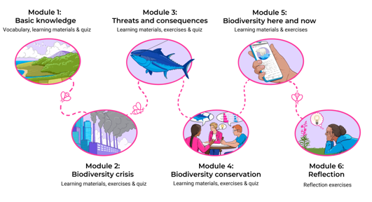 Johtoryhmä hyväksyy kurssin lisäämisen sopimukseen (vuosittain, keväällä) Vahvistus yliopistojen johdolta Johtoryhmä päättää yhdessä opintohallinnon kanssa kurssin hakuajoista Opettaja kehittää kurssia sopivaksi ja tarkentaa etusijaperiaatteet ops-kuvaukseen oman yliopistonsa ohjeiden ja aikataulujen mukaisesti. Kurssista tiedotetaan ja kurssin opinto-oikeuden haku avataan verkoston nettisivuilla Kurssitarjonta tarkistetaan vuosittain 