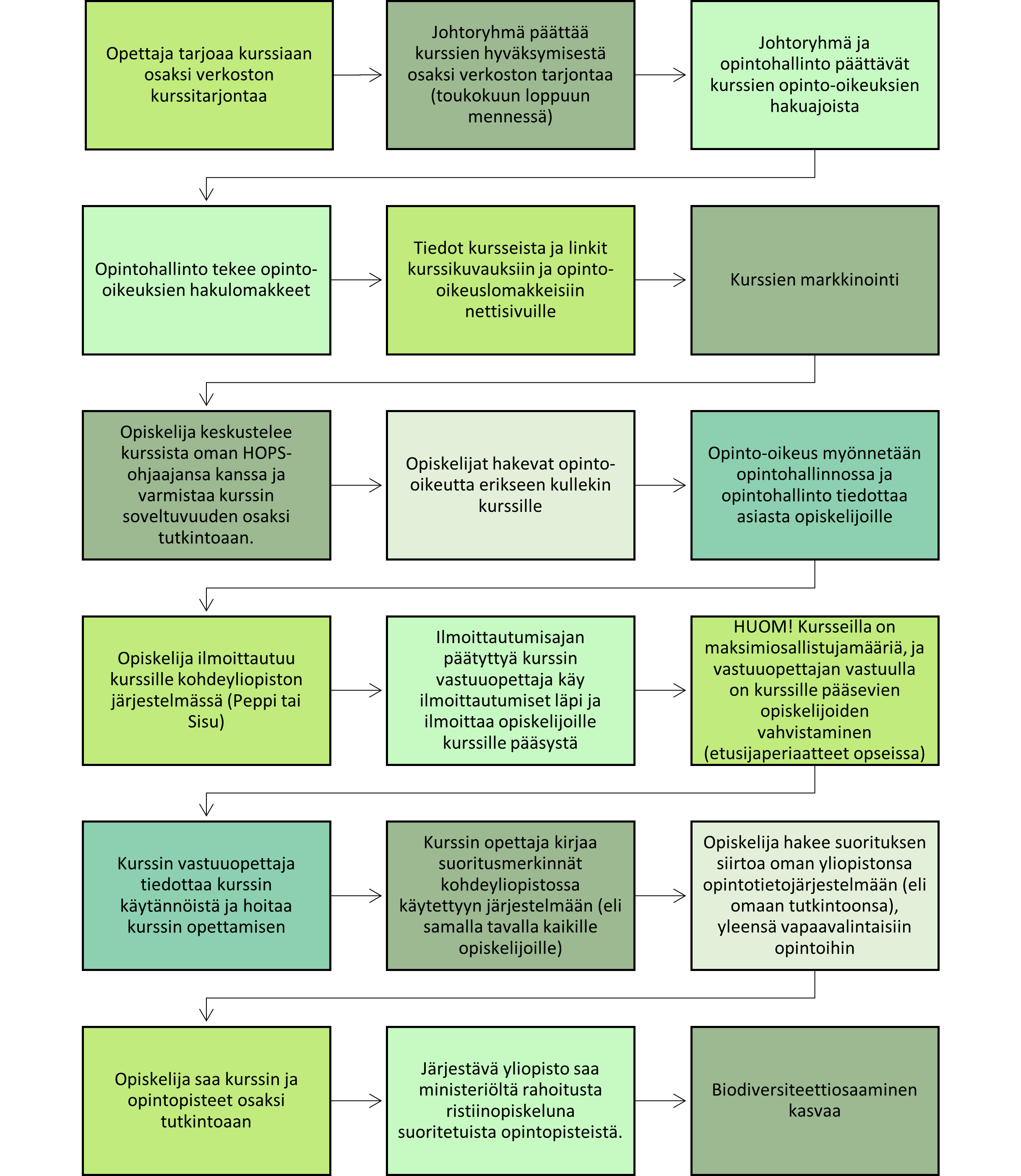 Prosessi: Opettaja tarjoaa kurssiaan osaksi verkoston kurssitarjontaa. Johtoryhmä päättää kurssien hyväksymisestä osaksi verkoston tarjontaa (toukokuun loppuun mennessä) ja pyytää yliopistojen hyväksynnän. Johtoryhmä ja opintohallinto päättävät kurssien opinto-oikeuksien hakuajoista. Opintohallinto tekee opinto-oikeuksien hakulomakkeet (sähköiset). Tiedot kursseista ja linkit kurssikuvauksiin ja opinto-oikeuslomakkeisiin nettisivuille. Kurssien markkinointi Opiskelija keskustelee kurssista oman HOPS-ohjaajansa kanssa ja varmistaa kurssin soveltuvuuden osaksi tutkintoaan. Opiskelijat hakevat opinto-oikeutta erikseen kullekin kurssille. Opinto-oikeus myönnetään opintohallinnossa ja opintohallinto tiedottaa asiasta opiskelijoille. Opiskelija ilmoittautuu kurssille kohdeyliopiston järjestelmässä (Peppi tai Sisu). Ilmoittautumisajan päätyttyä kurssin vastuuopettaja käy ilmoittautumiset läpi ja ilmoittaa opiskelijoille kurssille pääsystä. HUOM! Kursseilla on maksimiosallistujamääriä, ja vastuuopettajan vastuulla on kurssille pääsevien opiskelijoiden vahvistaminen (etusijaperiaatteet opseissa). Kurssin vastuuopettaja tiedottaa kurssin käytännöistä ja hoitaa kurssin opettamisen. Kurssin opettaja kirjaa suoritusmerkinnät kohdeyliopistossa käytettyyn järjestelmään (eli samalla tavalla kaikille opiskelijoille). Opiskelija hakee suorituksen siirtoa oman yliopistonsa opintotietojärjestelmään (eli omaan tutkintoonsa), yleensä vapaavalintaisiin opintoihin. Opiskelija saa kurssin ja opintopisteet osaksi tutkintoaan. Järjestävä yliopisto saa ministeriöltä rahoitusta ristiinopiskeluna suoritetuista opintopisteistä. Biodiversiteettiosaaminen kasvaa. 