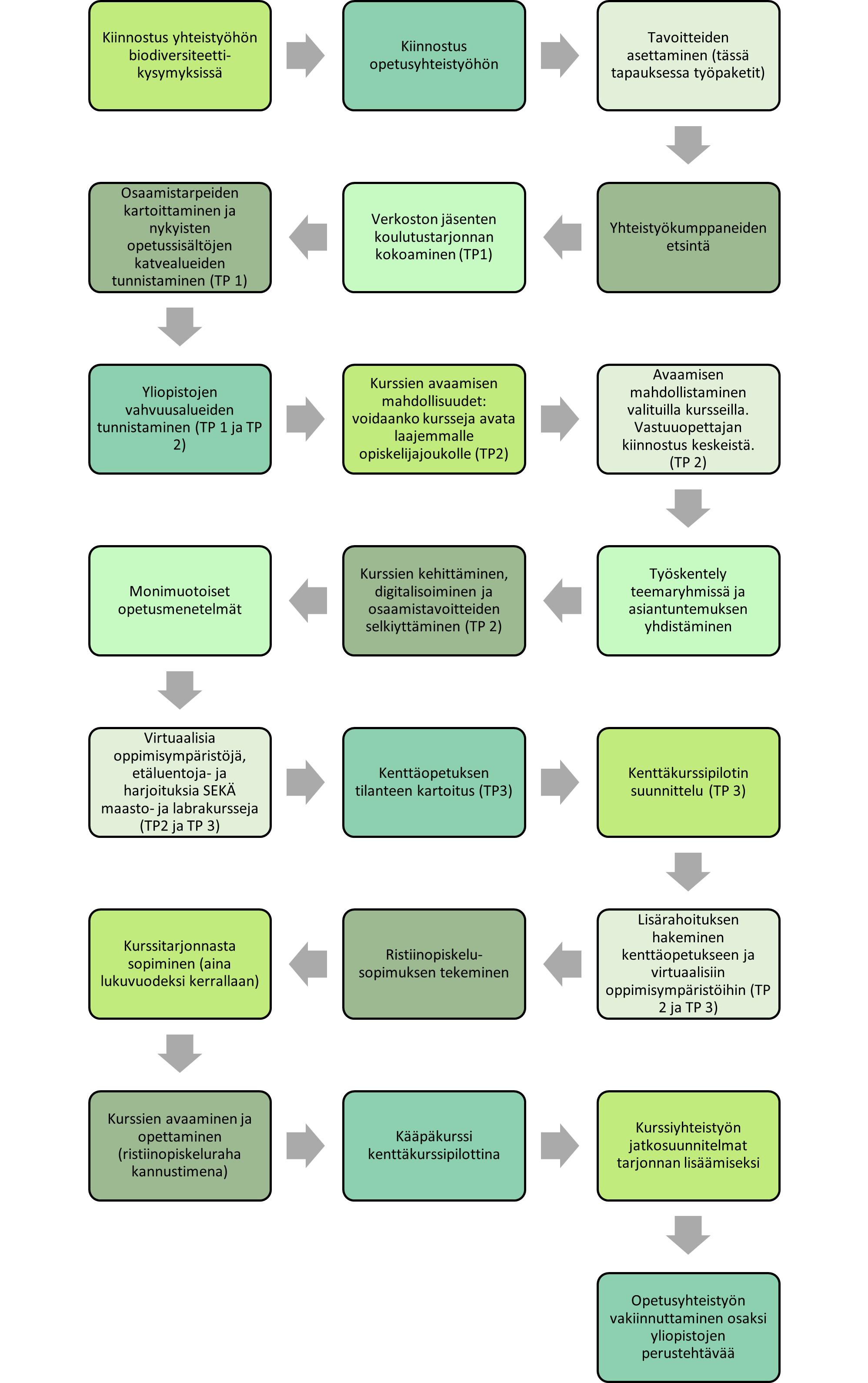 Kiinnostus yhteistyöhön biodiversiteettikysymyksissä Kiinnostus opetusyhteistyöhön Tavoitteiden asettaminen (tässä tapauksessa työpaketit) Yhteistyökumppaneiden etsintä Verkoston jäsenten koulutustarjonnan kokoaminen (TP1) Osaamistarpeiden kartoittaminen ja nykyisten opetussisältöjen katvealueiden tunnistaminen (TP 1) Yliopistojen vahvuusalueiden tunnistaminen (TP 1 ja TP 2) Kurssien avaamisen mahdollisuudet: voidaanko kursseja avata laajemmalle opiskelijajoukolle (TP2) Avaamisen mahdollistaminen valituilla kursseilla. Vastuuopettajan kiinnostus keskeistä. (TP 2) Työskentely teemaryhmissä ja asiantuntemuksen yhdistäminen Kurssien kehittäminen, digitalisoiminen ja osaamistavoitteiden selkiyttäminen (TP 2) Monimuotoiset opetusmenetelmät Virtuaalisia oppimisympäristöjä, etäluentoja- ja harjoituksia SEKÄ maasto- ja labrakursseja (TP2 ja TP 3) Kenttäopetuksen tilanteen kartoitus (TP3) Kenttäkurssipilotin suunnittelu (TP 3) Lisärahoituksen hakeminen kenttäopetukseen ja virtuaalisiin oppimisympäristöihin (TP 2 ja TP 3) Ristiinopiskelu-sopimuksen tekeminen Kurssitarjonnasta sopiminen (aina lukuvuodeksi kerrallaan) Kurssien avaaminen ja opettaminen (ristiinopiskeluraha kannustimena) Kääpäkurssi kenttäkurssipilottina Kurssiyhteistyön jatkosuunnitelmat tarjonnan lisäämiseksi Opetusyhteistyön vakiinnuttaminen osaksi yliopistojen perustehtävää 